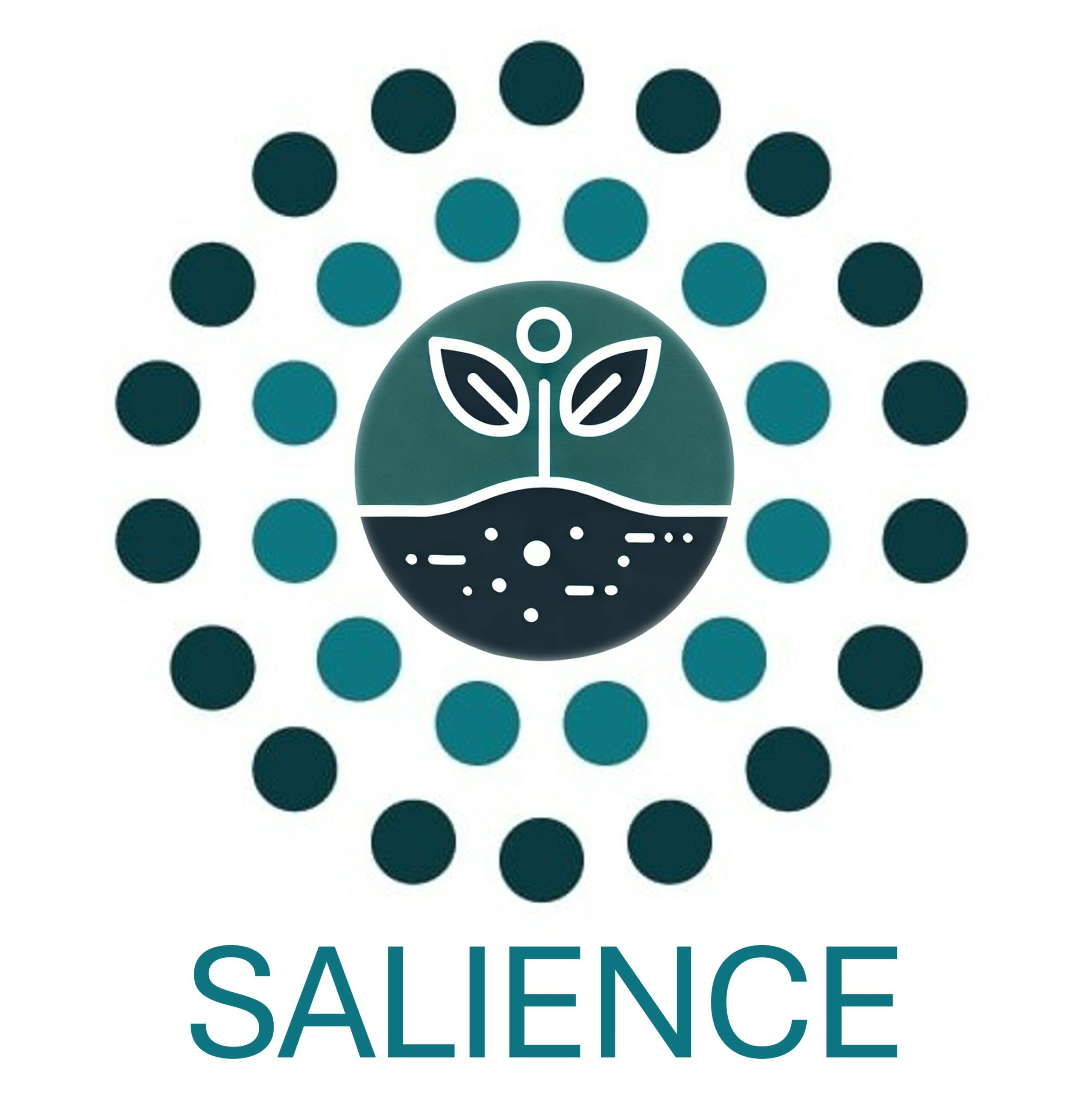 SALIENCE Logo 2