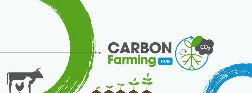 476503291_609872281647479_2328076481417909620_n People working together